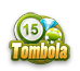 Tombola Game